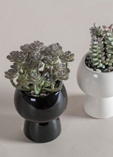 89947 SET DE MACETAS PRAGA